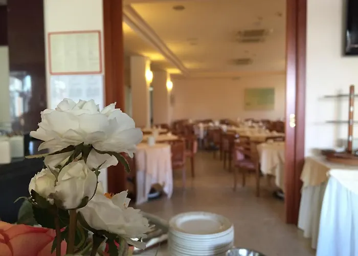 Sabra Σενιγκάλια